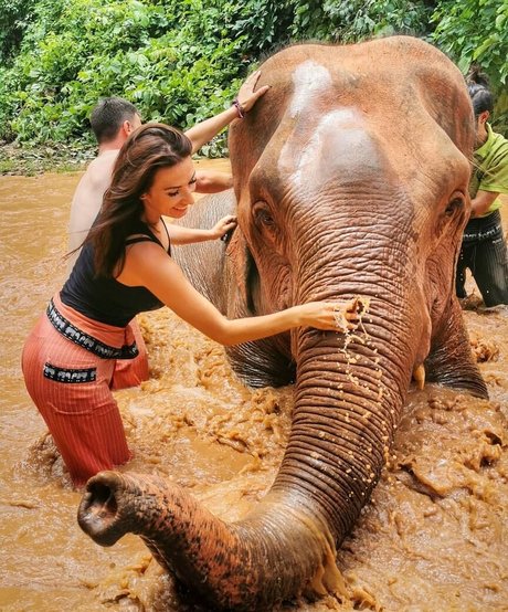 ffm onlyfans nice pics