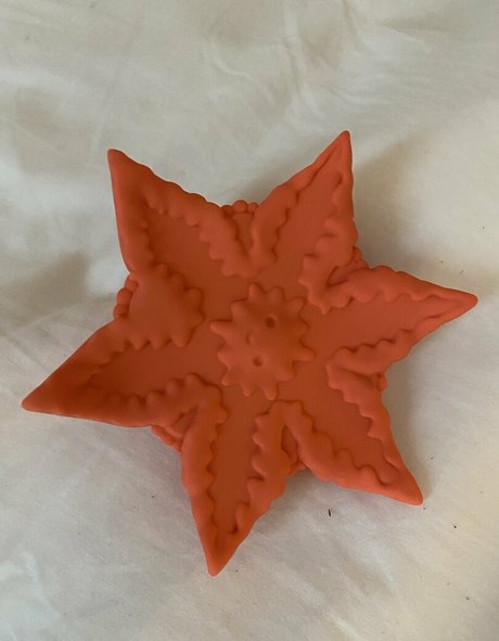 accidental creampie onlyfans hot xxx images