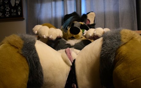 crownmutt pornographic star pic