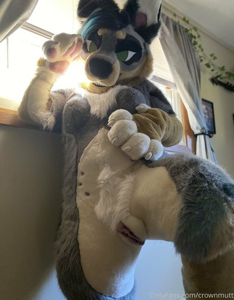 crownmutt star nude gallery