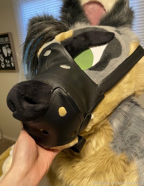 crownmutt star top pics