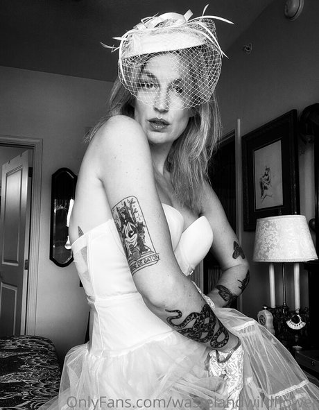 wastelandwildflower star nudes gallery