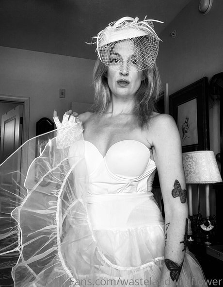 wastelandwildflower pornstar hd archive