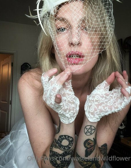 wastelandwildflower top star gallery