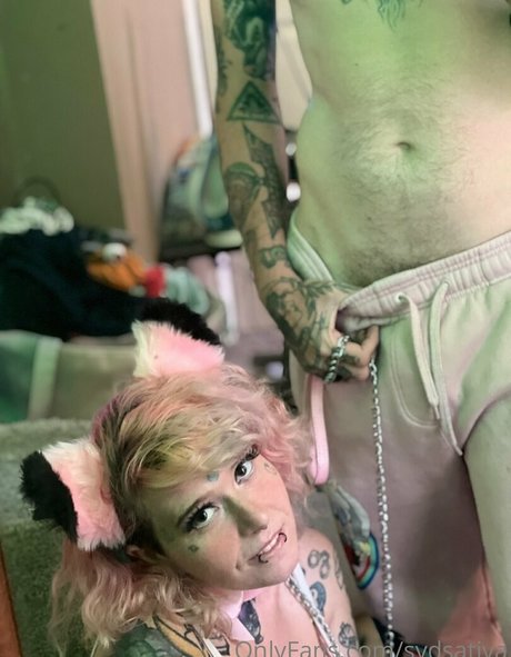 sydsativa star nice gallery