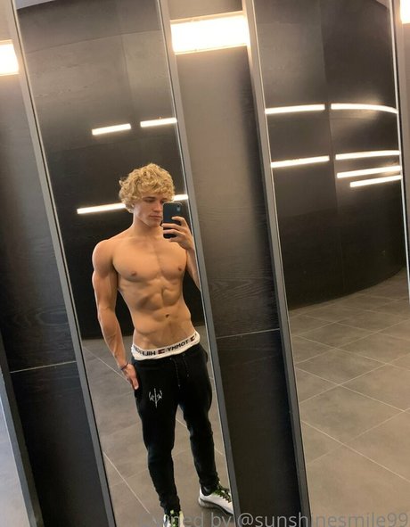 sunshynefree star free photo