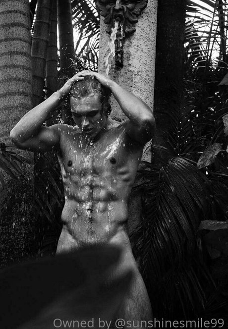 sunshynefree beautiful star galleries