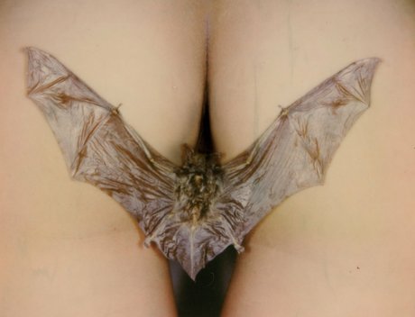 sadsamo porn actress galleries