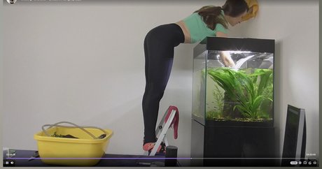 misaonair hot star images