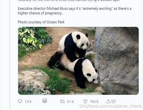 mature asian onlyfans best image