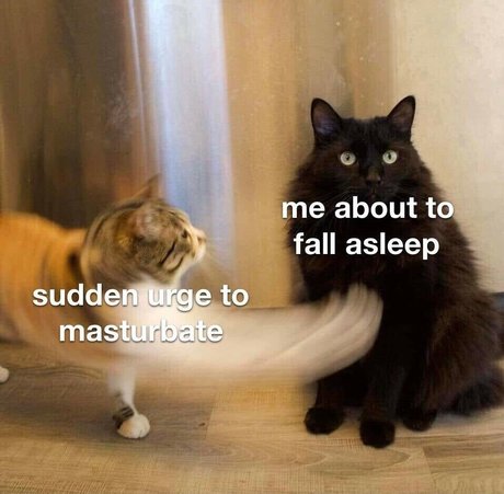 Marlii26 art star images