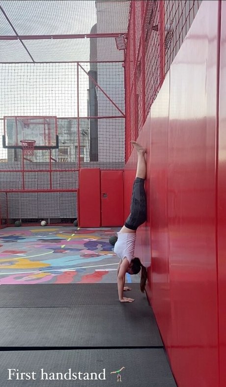 samuraysevo top star photo