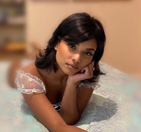 Sin xia perfect star archive