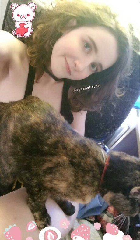 Sweetpetites Quick photo