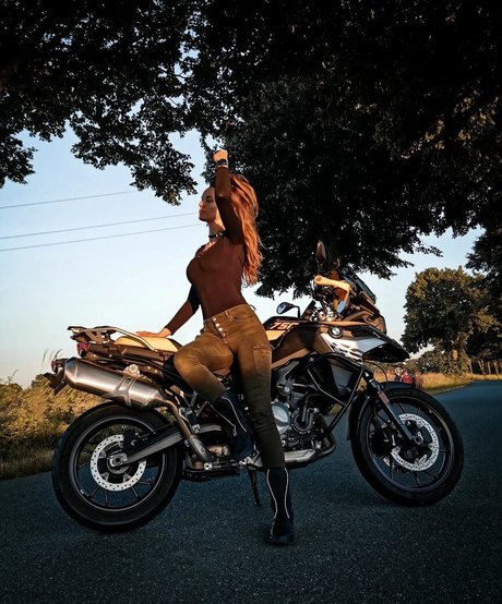 Hyrula star adult pic