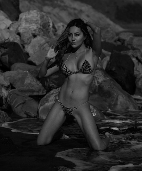 Jess Victoria star art image