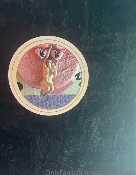 haleysvision sex star img