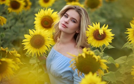 Iris A free star archive