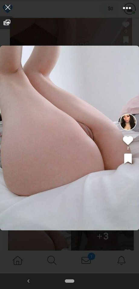 ChampagneLace sex pornstar pictures