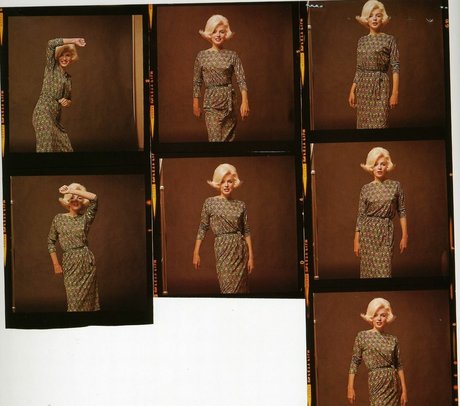 Marilyn Monroe model top image