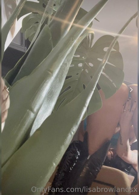 Lisabrowlandsx nice pornstar archive