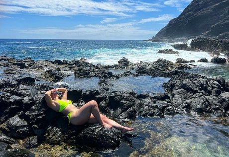 thesharonkim art star archive