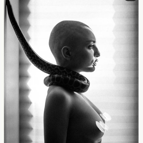 Pelageialynx free star pics