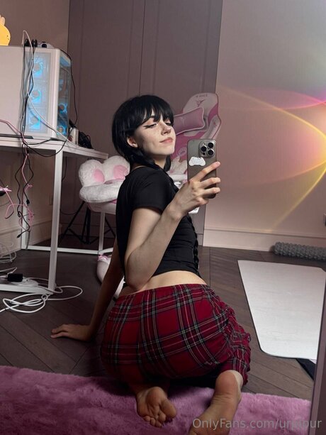 urplpur Profile photo