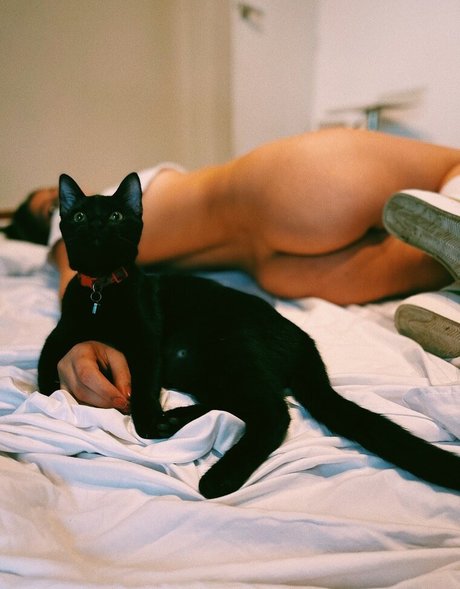 Maria Jose Vargas erotic actress img