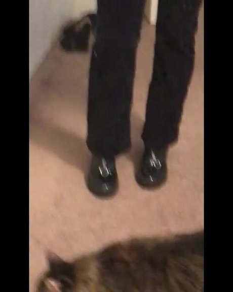 Sofia Addotta pornstar free pictures