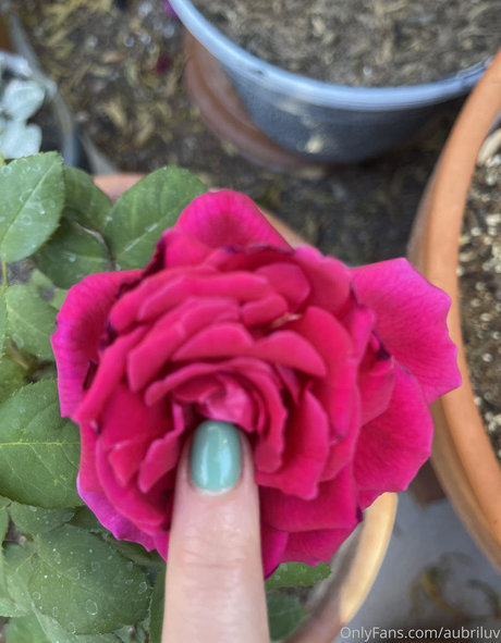 aubriluv perfect star pic