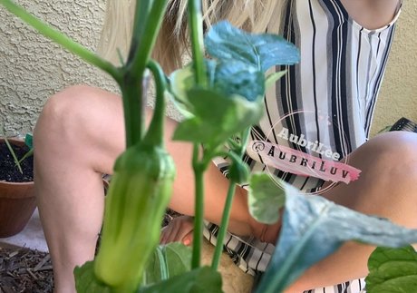 aubriluv xxx actress pics