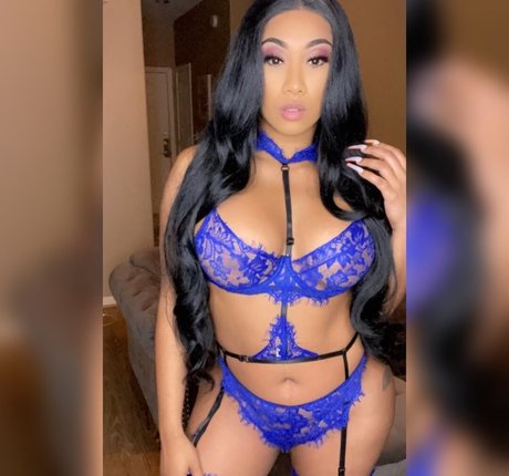 The Asian Kitty top star photo