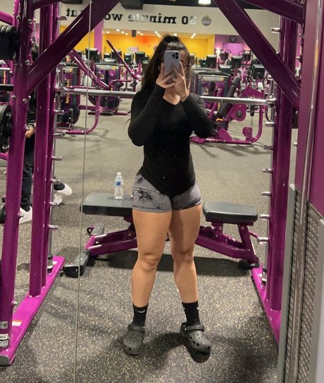 mevlana star galleries