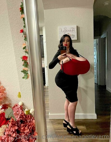 Foxy Menagerie Verre star nice picture