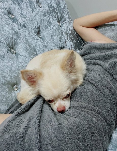 September K star exclusive picture