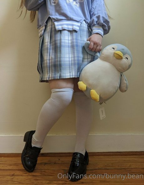 Unused Notebook pornographic star pictures