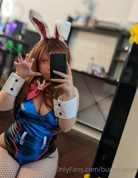 Unused Notebook free star pictures