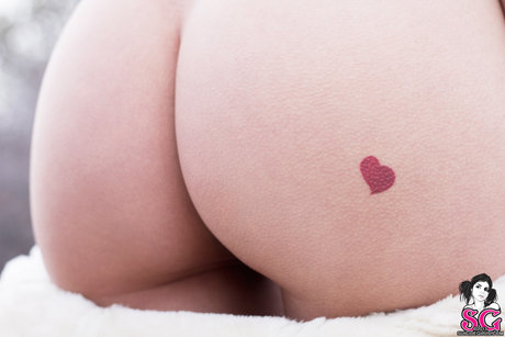 Olivia Black top pornstar img