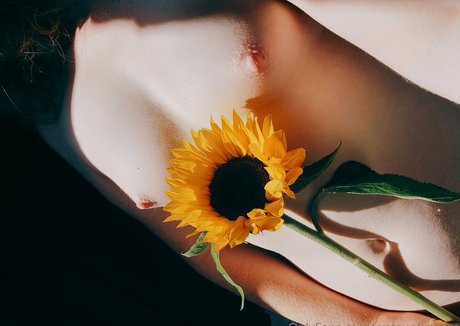 wetsunflowers erotic actress image