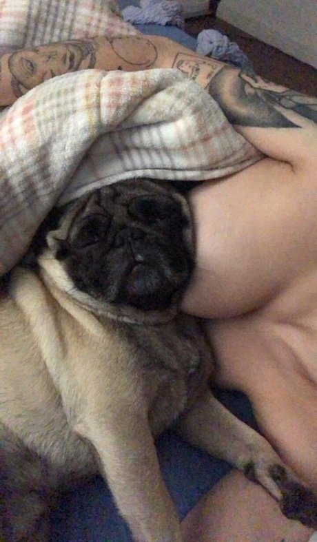 Trizpac star porn img