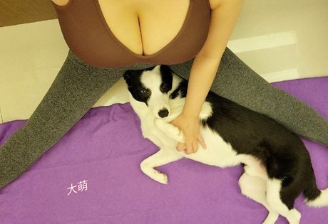 tw901173 free pornstar pics