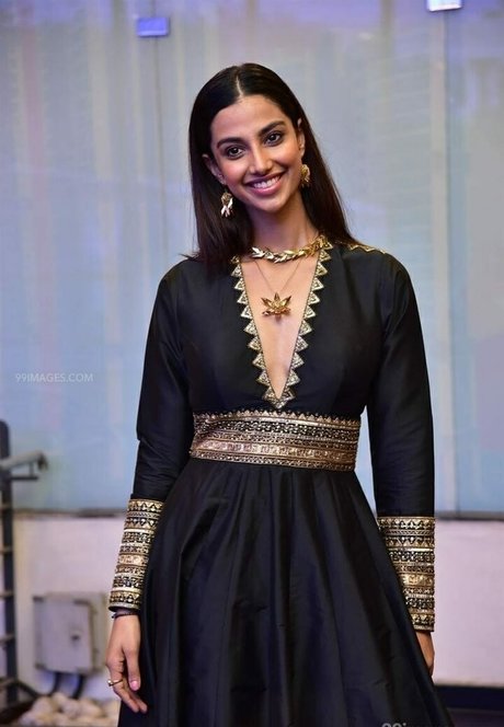 Meenakshi Chaudhary best actress img