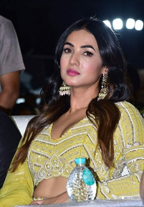 Sonal Chauhan high quality model picture