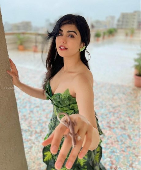 Adah Sharma Profile photo
