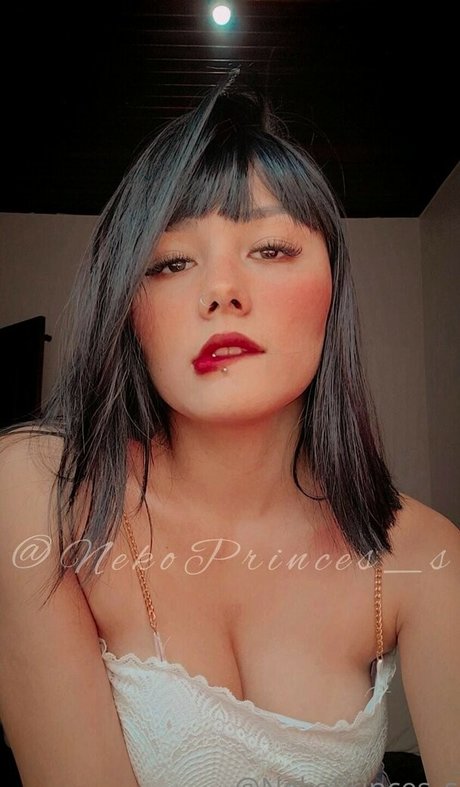 Nekoprinces s pornstar perfect images