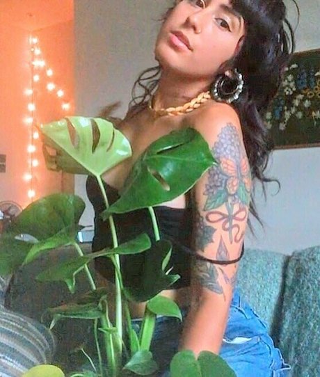 ginger kitty onlyfans art naked archive