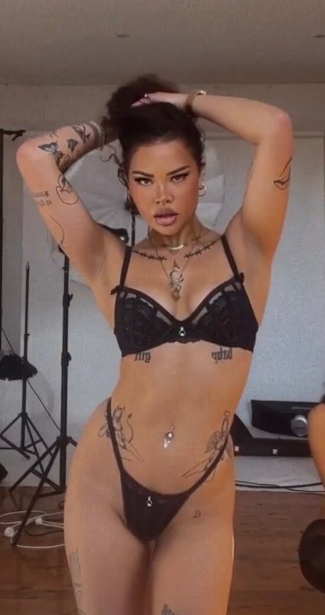 shakirareeve pornstar erotic archive