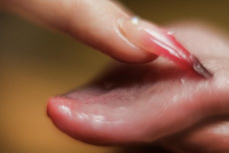 Lolawoo top pornstar pictures