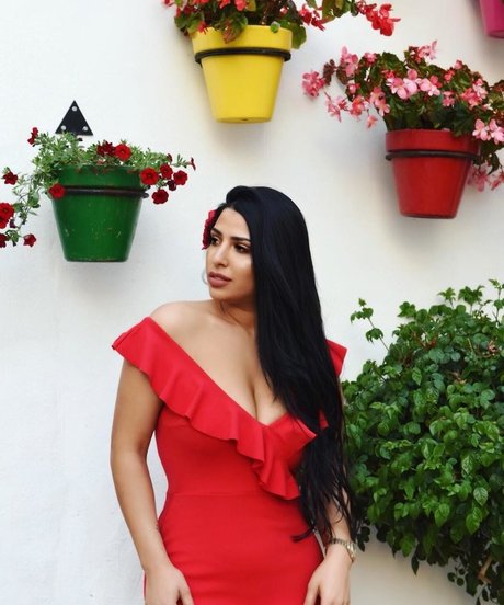 cameltoe onlyfans hot xxx archive